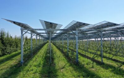 Agrivoltaico: le zone adatte e non adatte all’installazione dei pannelli solari